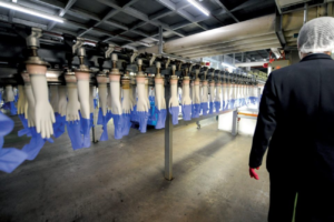 Malaysia's Globa; Rubber Glove The Way Forward For Malaysia As Global Rubber Glove Innovation Centre | Allgloves Malaysia
