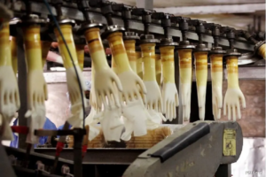 Rubber Gloves Manufacturing Process Worst Is Over For Malaysian Rubber Glove Sector, Says Phillip Capital | Allgloves Malaysia