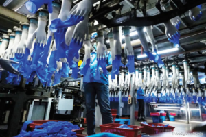 Manufacturing of gloves Glove Stocks Projected To See Meaningful Recovery Only Towards End-2024 | Allgloves Malaysia